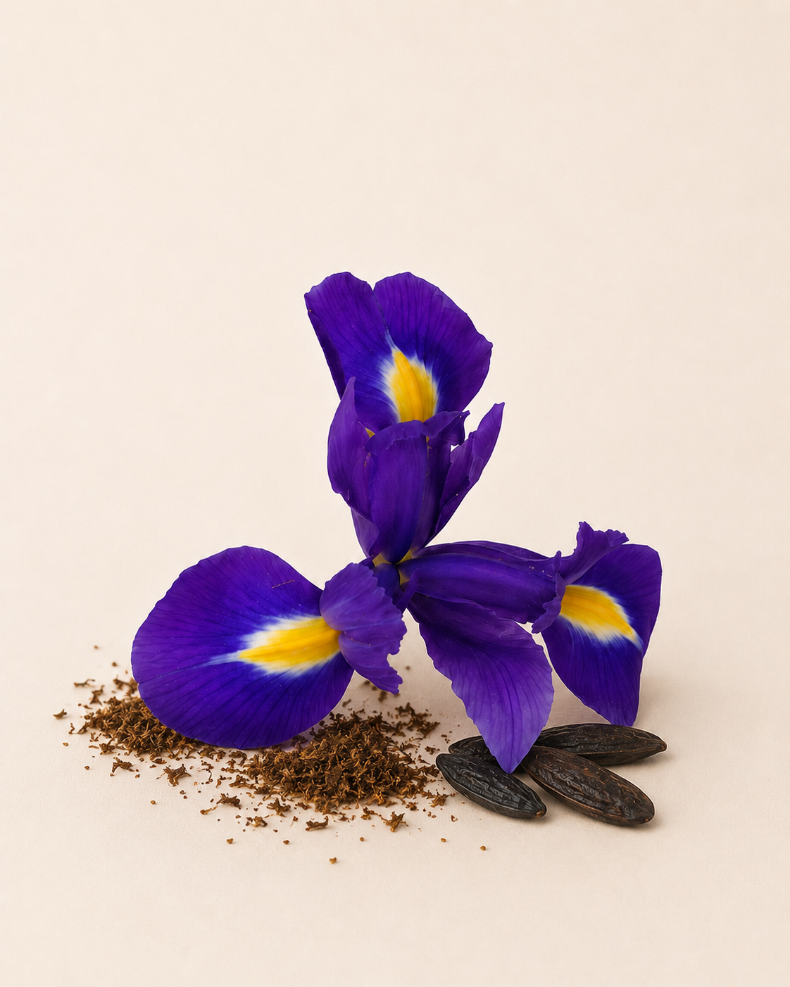 Black Iris & Musk Scented Candle